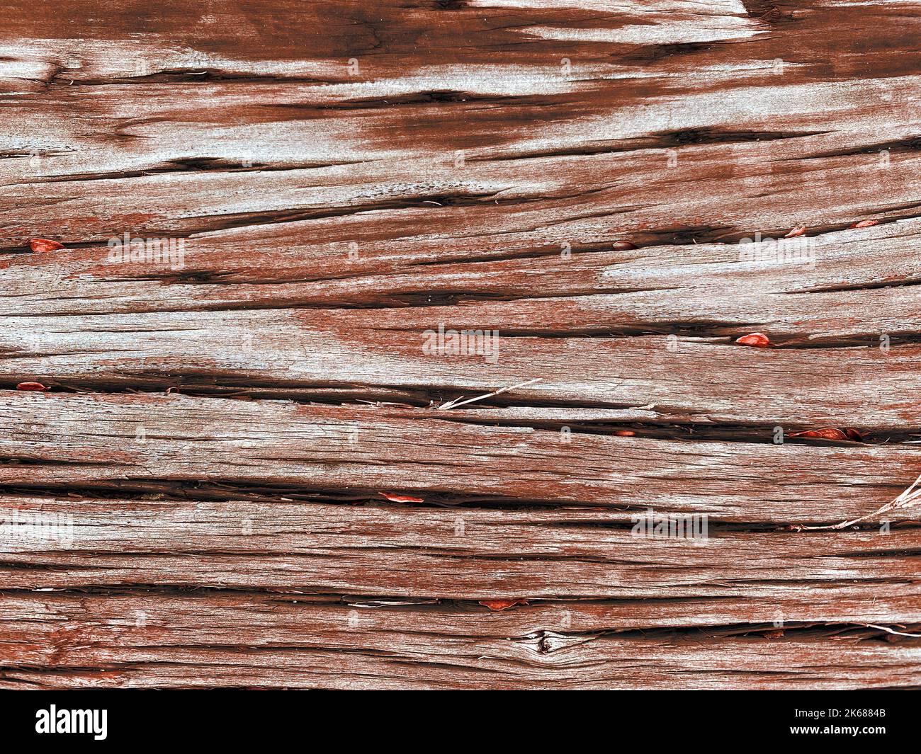 Un gros plan de panneau de bois naturel grain navire pont pourriture vieux vintage porté météo sombre naufrage panneau toile de fond Banque D'Images