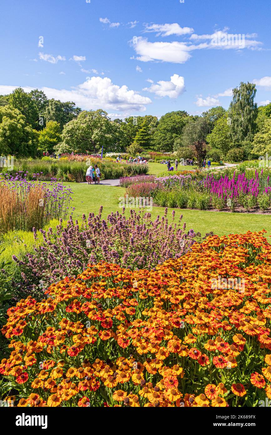 Les bordures de fleurs d'été mélangées au RHS Garden Harlow Carr près de Harrogate, dans le Yorkshire du Royaume-Uni Banque D'Images