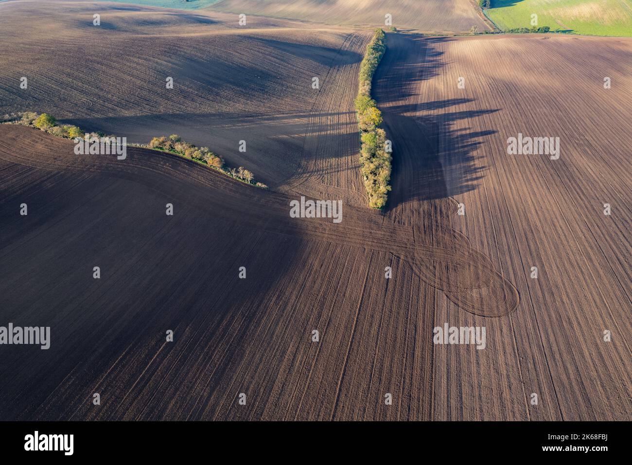 Terres agricoles et arbres d'automne en Moravie tchèque vus d'en haut, motifs et lignes sur le terrain, photographie de drone Banque D'Images