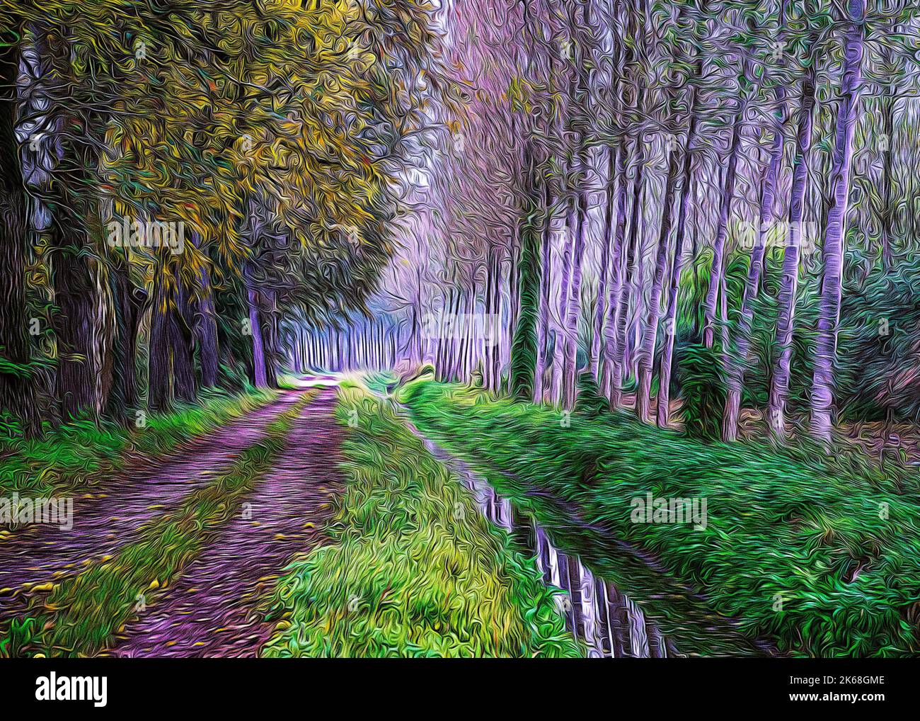 Route de terre de campagne à Lomellina pendant un automne humide Banque D'Images