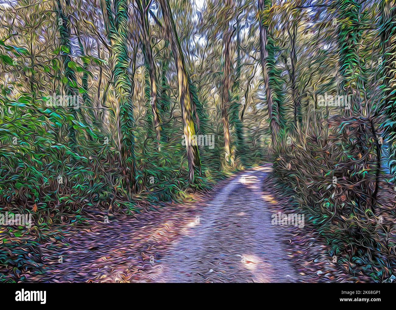 Route de terre de campagne à Lomellina pendant un automne humide Banque D'Images