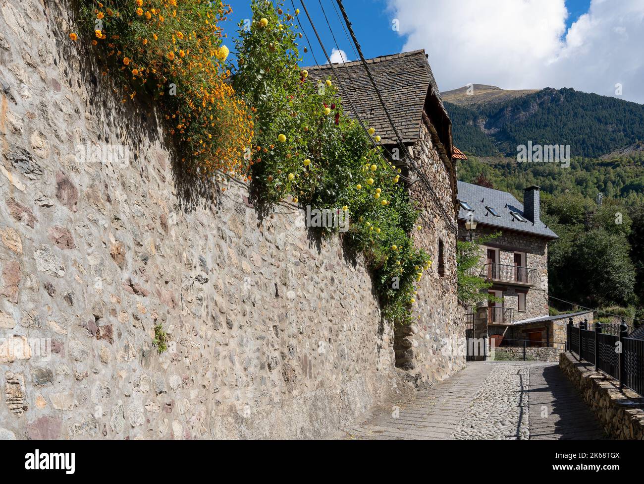Un mur traditionnel en pierre recouvert de fleurs orange et jaune, montagnes des Pyrénées, Espagne Banque D'Images