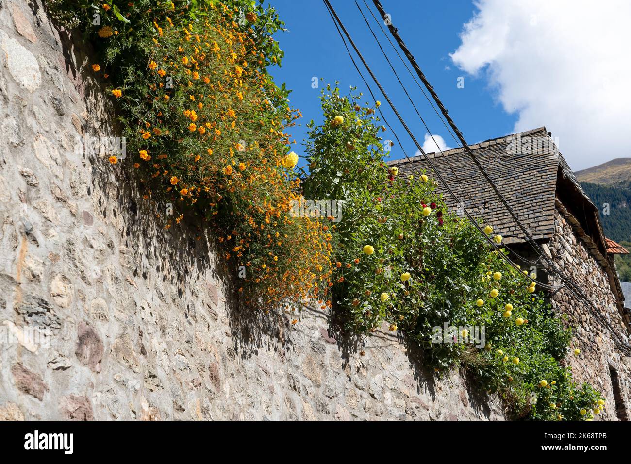 Un mur traditionnel en pierre recouvert de fleurs orange et jaune, montagnes des Pyrénées, Espagne Banque D'Images