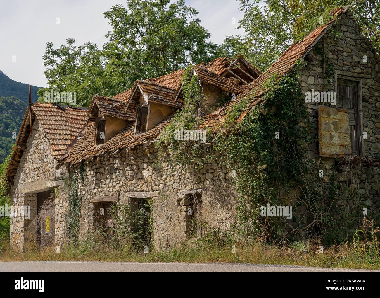 Une maison familiale traditionnelle en pierre surcultivée avec de l'ivy et des super-réducteur de virginie, tombée à la disréparation, montagnes des Pyrénées, Espagne Banque D'Images