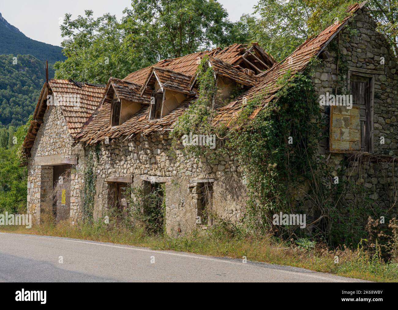 Une maison familiale traditionnelle en pierre surcultivée avec de l'ivy et des super-réducteur de virginie, tombée à la disréparation, montagnes des Pyrénées, Espagne Banque D'Images