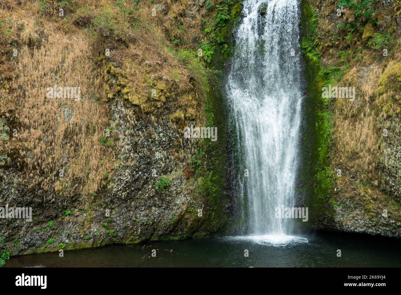 Chutes d'eau de Multnomah dans la gorge de la rivière Columbia, Oregon Banque D'Images
