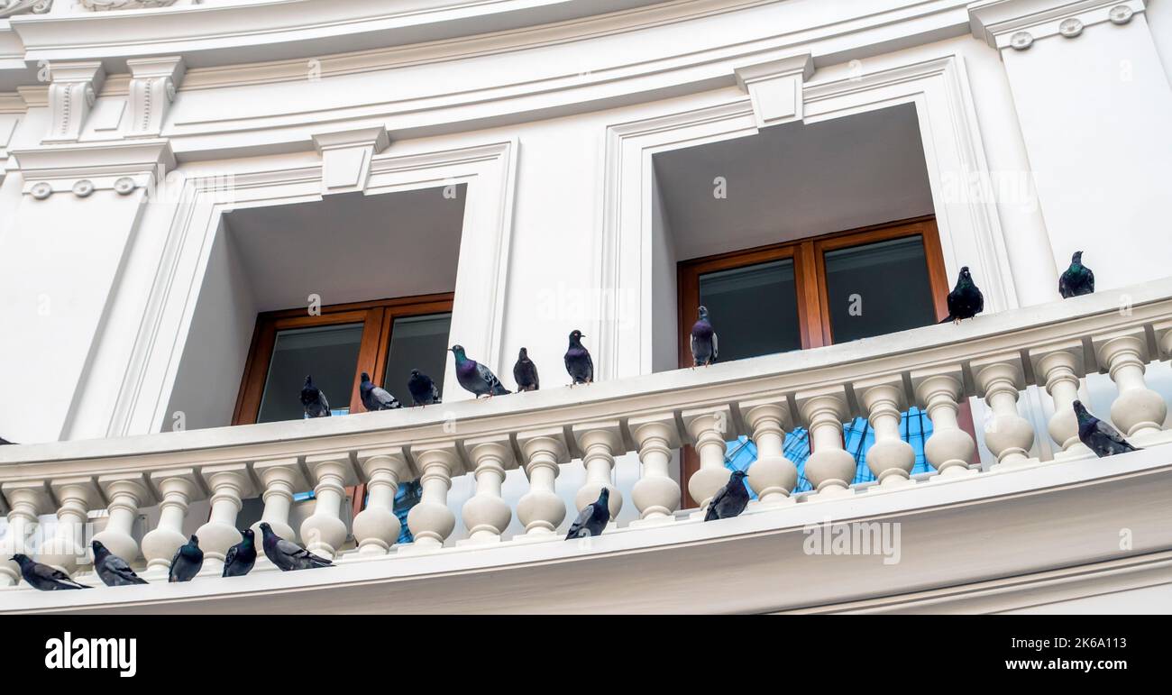 Des statues de Pigeon ornent l'intérieur de l'ancien bâtiment de la Bourse de Commerce à Paris, en France, qui abrite aujourd'hui la collection d'art de la famille Pinault Banque D'Images