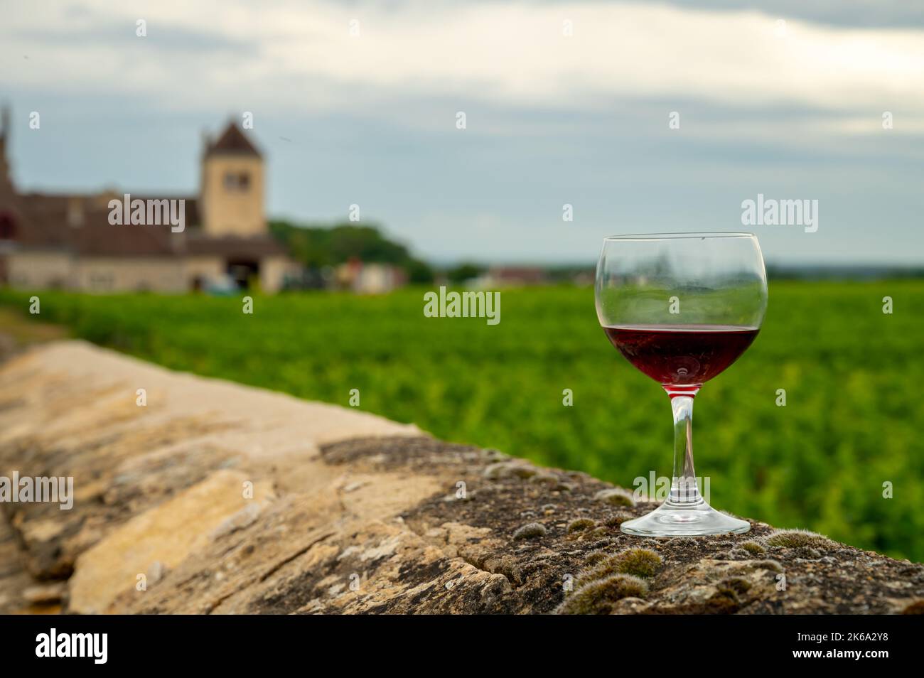 Visitez des grottes et dégustez du vin rouge sec de pinot noir en verre sur les vignobles de la cru de premier et grand en Bourgogne, région viticole avec château sur le backgrou Banque D'Images