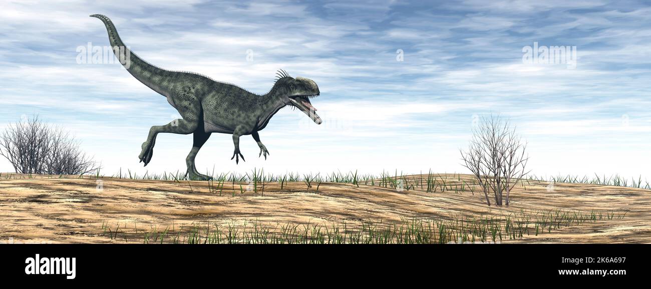 Monolosaurus dinosaure marchant dans le désert. Banque D'Images