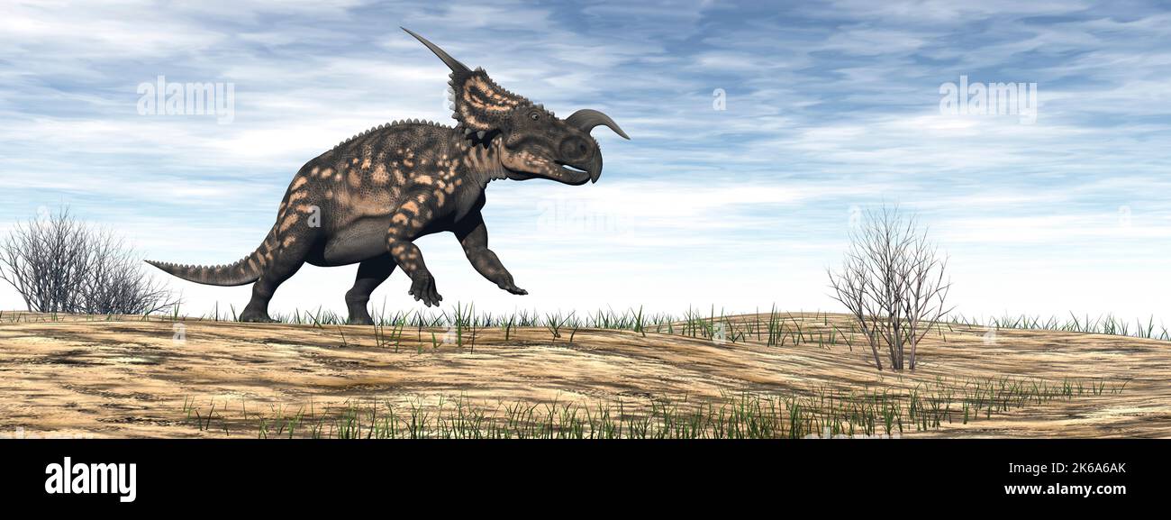 Einiosaurus dinosaure marchant dans le désert de jour. Banque D'Images