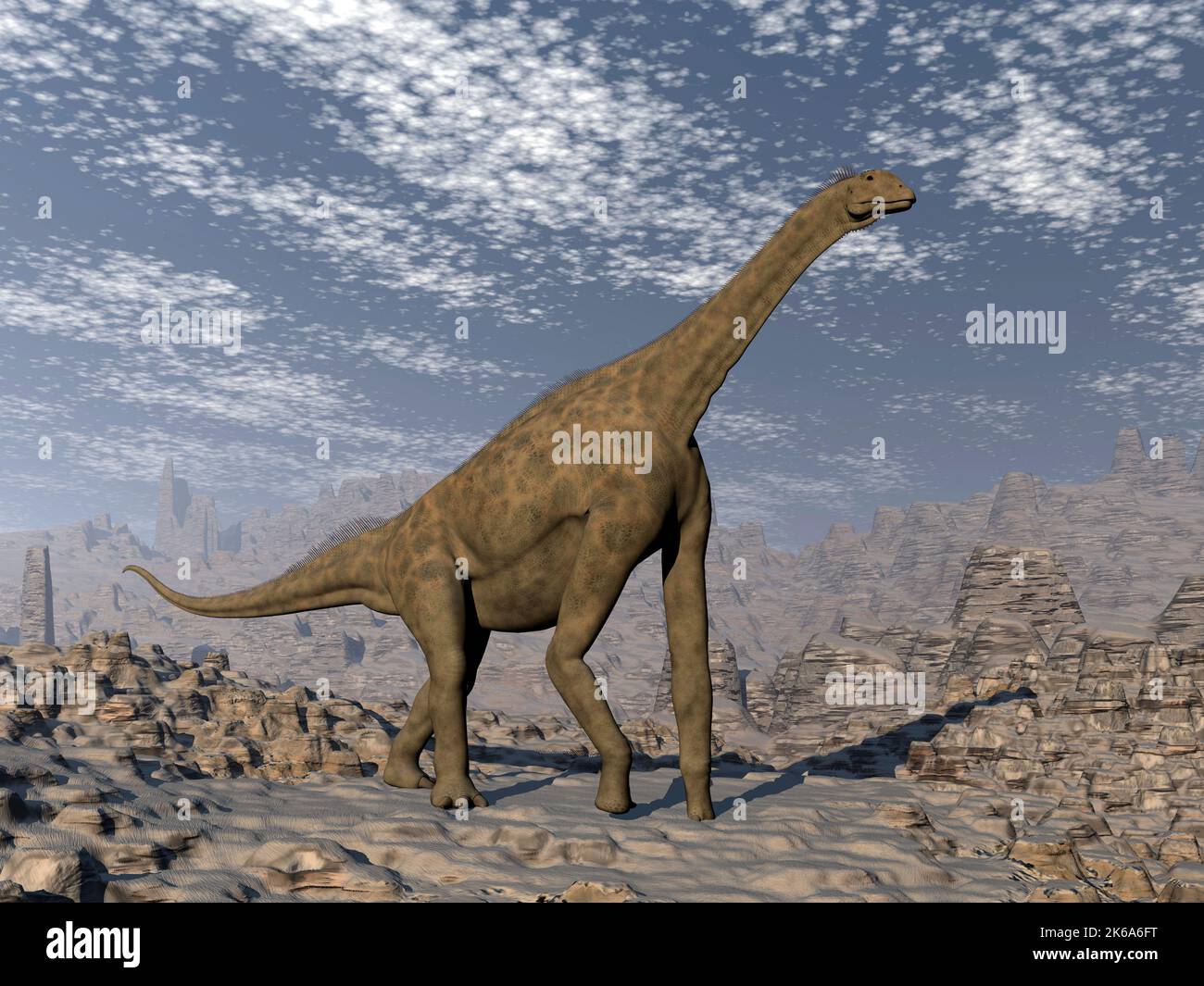 Le dinosaure d'Atlasaurus marche sur un terrain accidenté. Banque D'Images