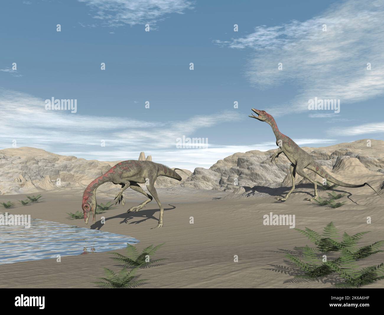 Deux dinosaures de Compsognathus buvant de l'eau dans le désert. Banque D'Images