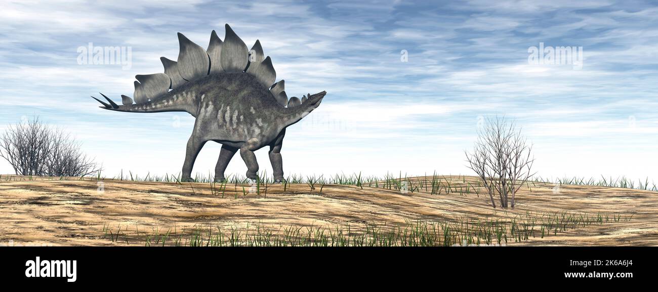 Le dinosaure Stegosaurus marche dans le désert de jour. Banque D'Images