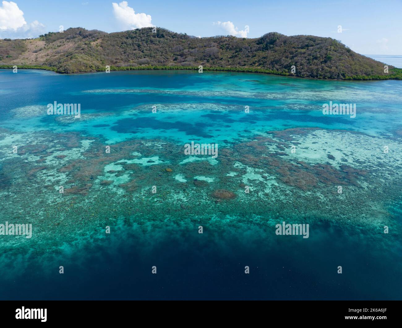 Un récif de corail sain s'étend au large du Pulau Besar, au nord de Flores, en Indonésie. Cette région tropicale exotique est connue pour sa grande biodiversité marine. Banque D'Images