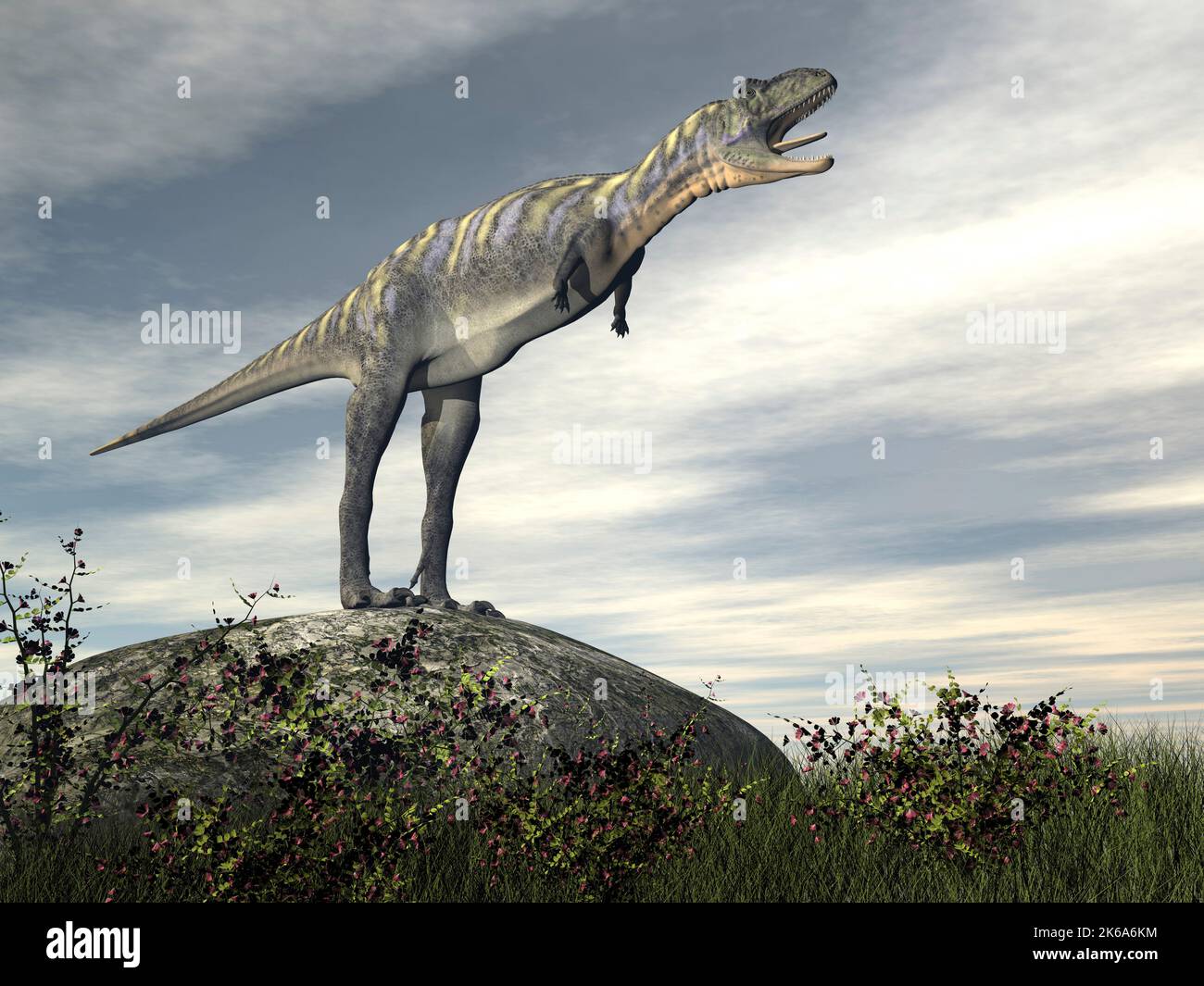 Aucasaurus dinosaure debout et rugissant sur un rocher par jour. Banque D'Images