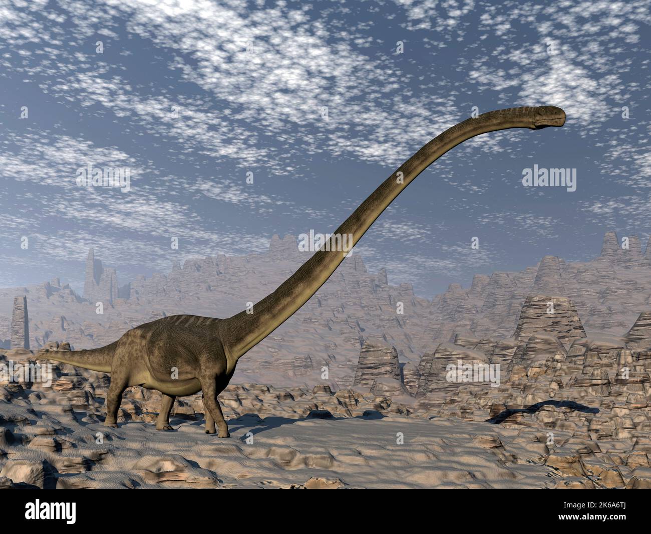 Omeisaurus dinosaure marchant sur un terrain accidenté. Banque D'Images