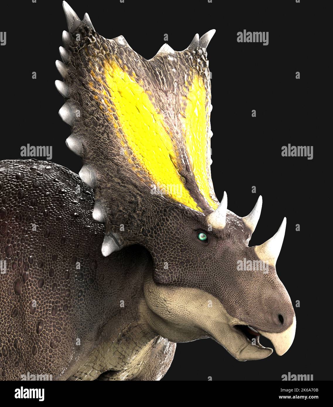 Portrait de dinosaure de Chasmosaurus. Banque D'Images