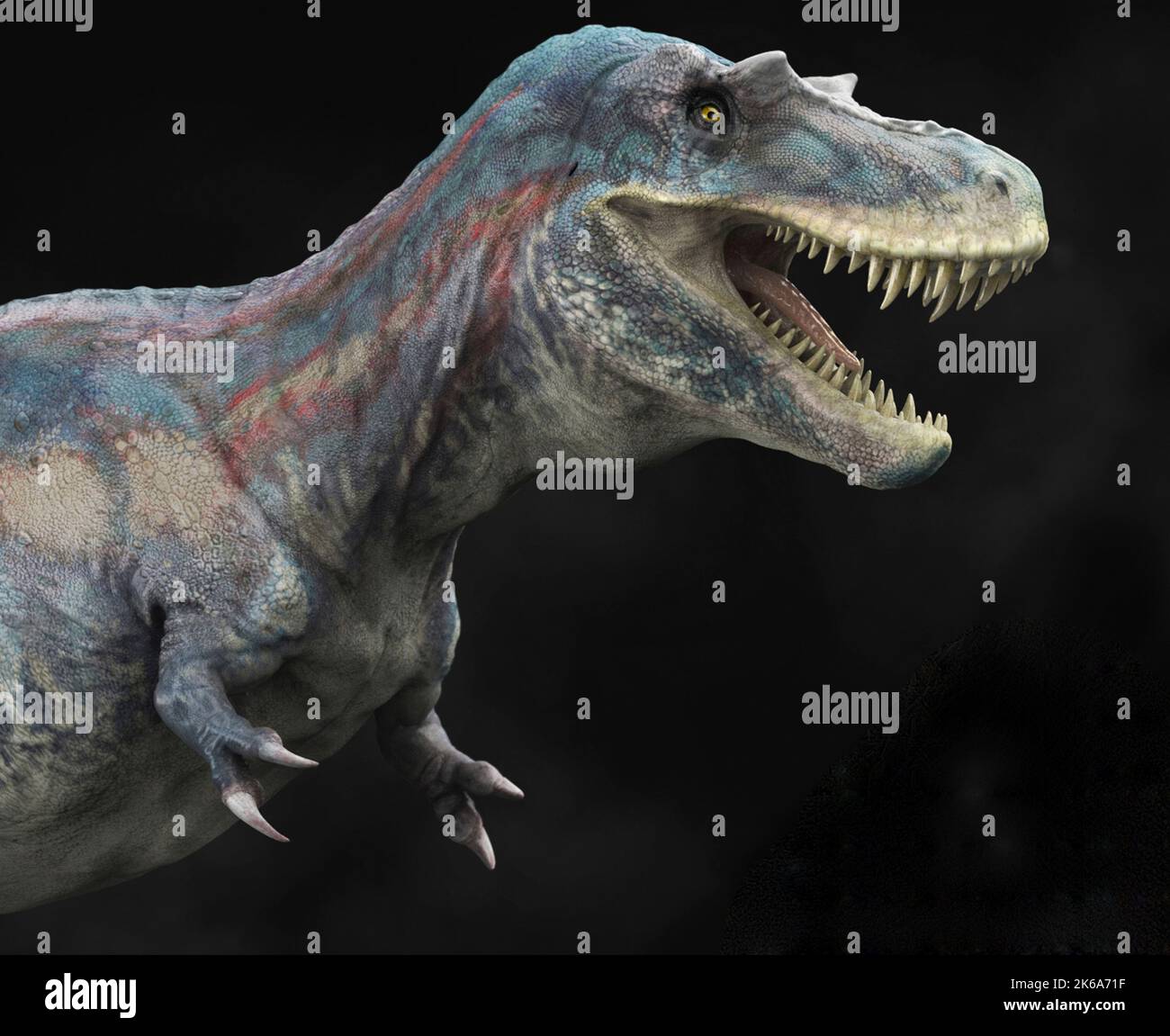Albertosaurus dinosaure, vue du profil. Banque D'Images