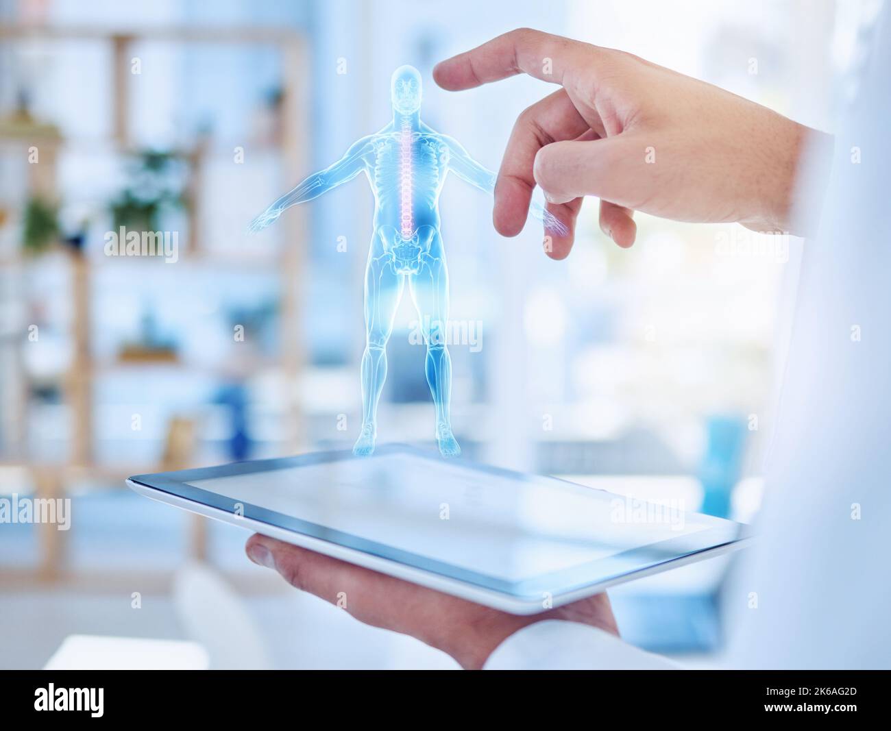 Ai virtuel, hologramme corporel et médecin travaillant sur la recherche médicale avec la conception numérique sur tablette dans un hôpital au travail. Mains d'une infirmière médicale Banque D'Images