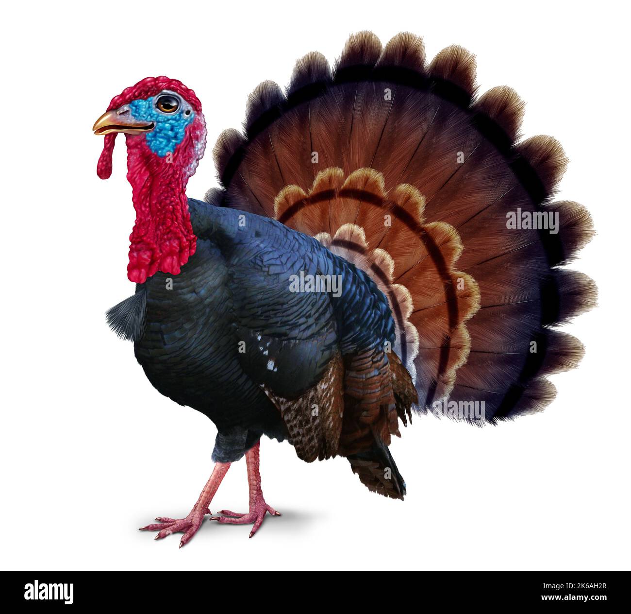 Gobelet à oiseaux de dinde sauvage sur fond blanc comme un Thanksgiving dans un style d'illustration de 3D. Banque D'Images