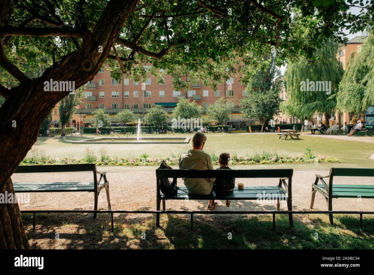 Vue arrière de l'homme et du petit-fils assis sur le banc au parc Banque D'Images