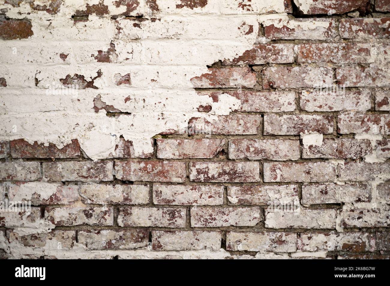 Vieux mur de briques avec peinture écaillée Banque D'Images