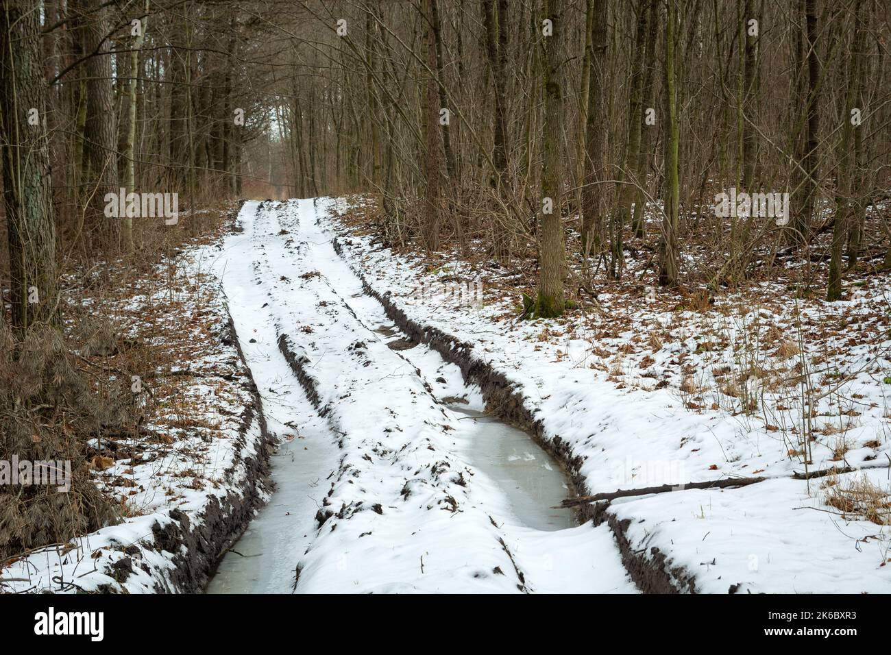 Une route de terre à travers une forêt enneigée Banque D'Images