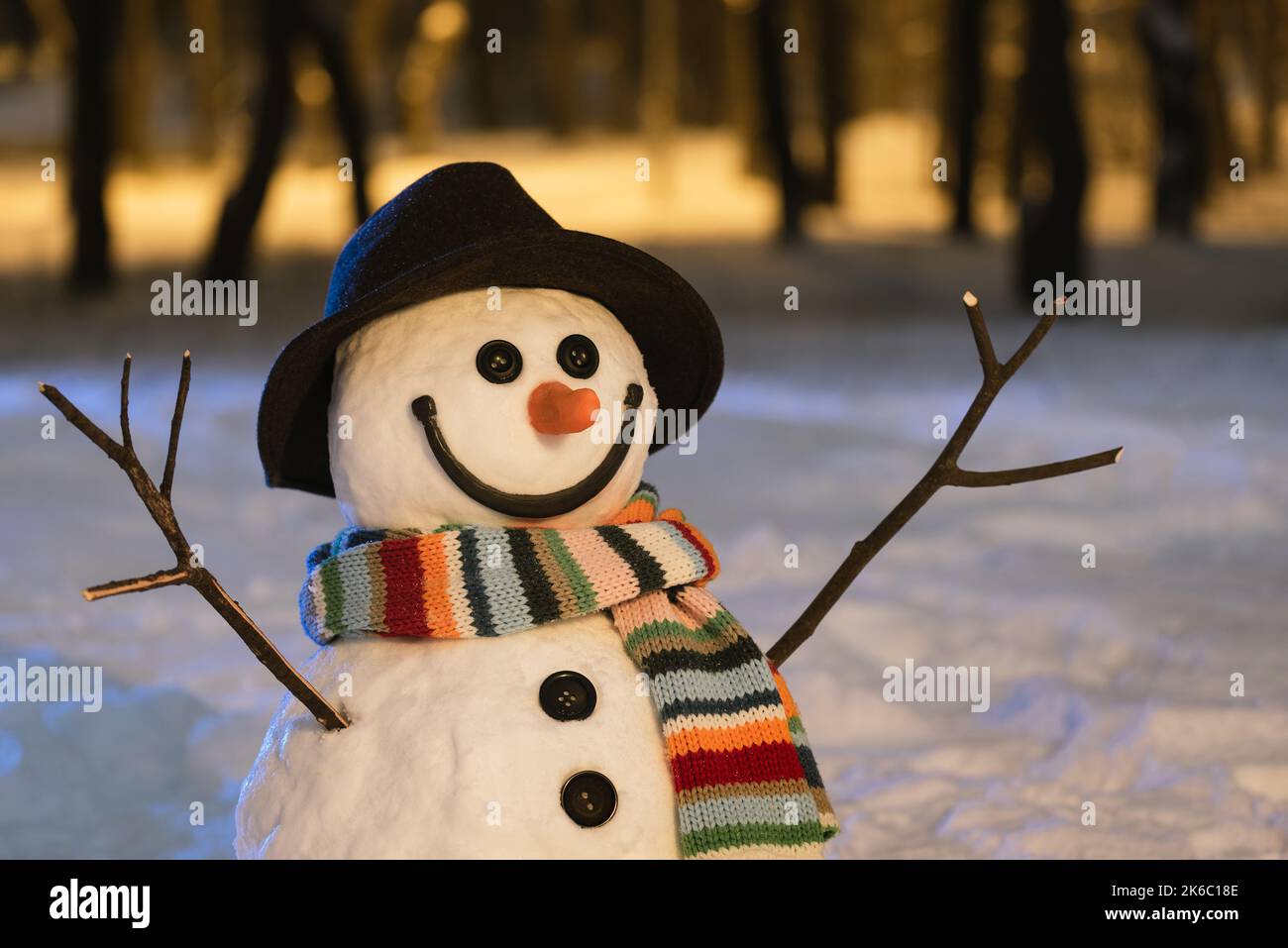Bonhomme de neige joyeux dans un parc enneigé Banque D'Images
