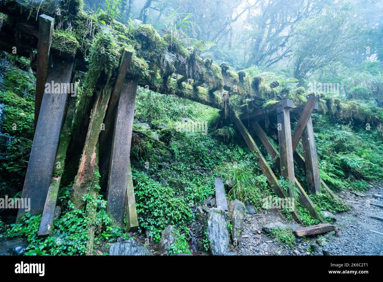 Magnifique sentier historique de Jianqing (Jiancing), chemin de fer forestier de l'aire de loisirs de la forêt nationale de Taipingshan de Taiwan. Banque D'Images