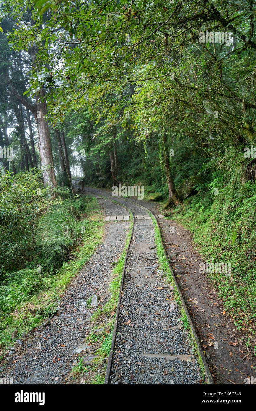 Magnifique sentier historique de Jianqing (Jiancing), chemin de fer forestier de l'aire de loisirs de la forêt nationale de Taipingshan de Taiwan. Banque D'Images