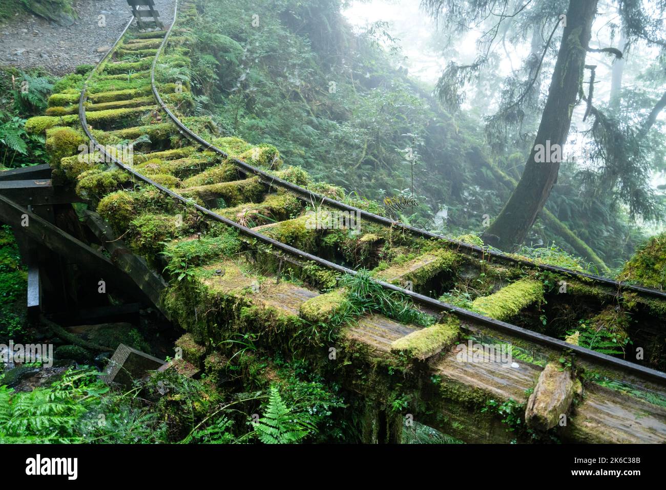 Magnifique sentier historique de Jianqing (Jiancing), chemin de fer forestier de l'aire de loisirs de la forêt nationale de Taipingshan de Taiwan. Banque D'Images