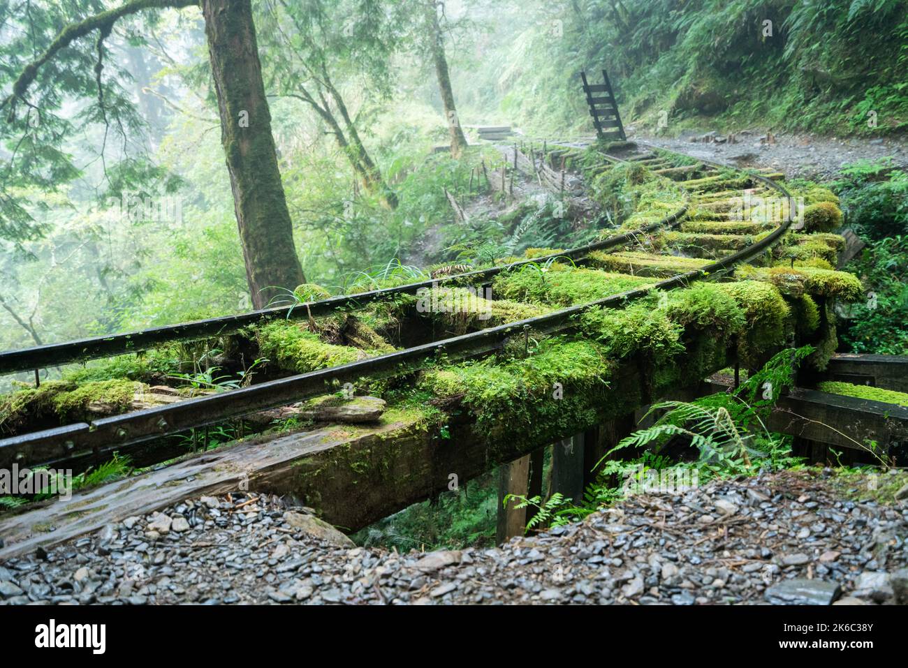 Magnifique sentier historique de Jianqing (Jiancing), chemin de fer forestier de l'aire de loisirs de la forêt nationale de Taipingshan de Taiwan. Banque D'Images