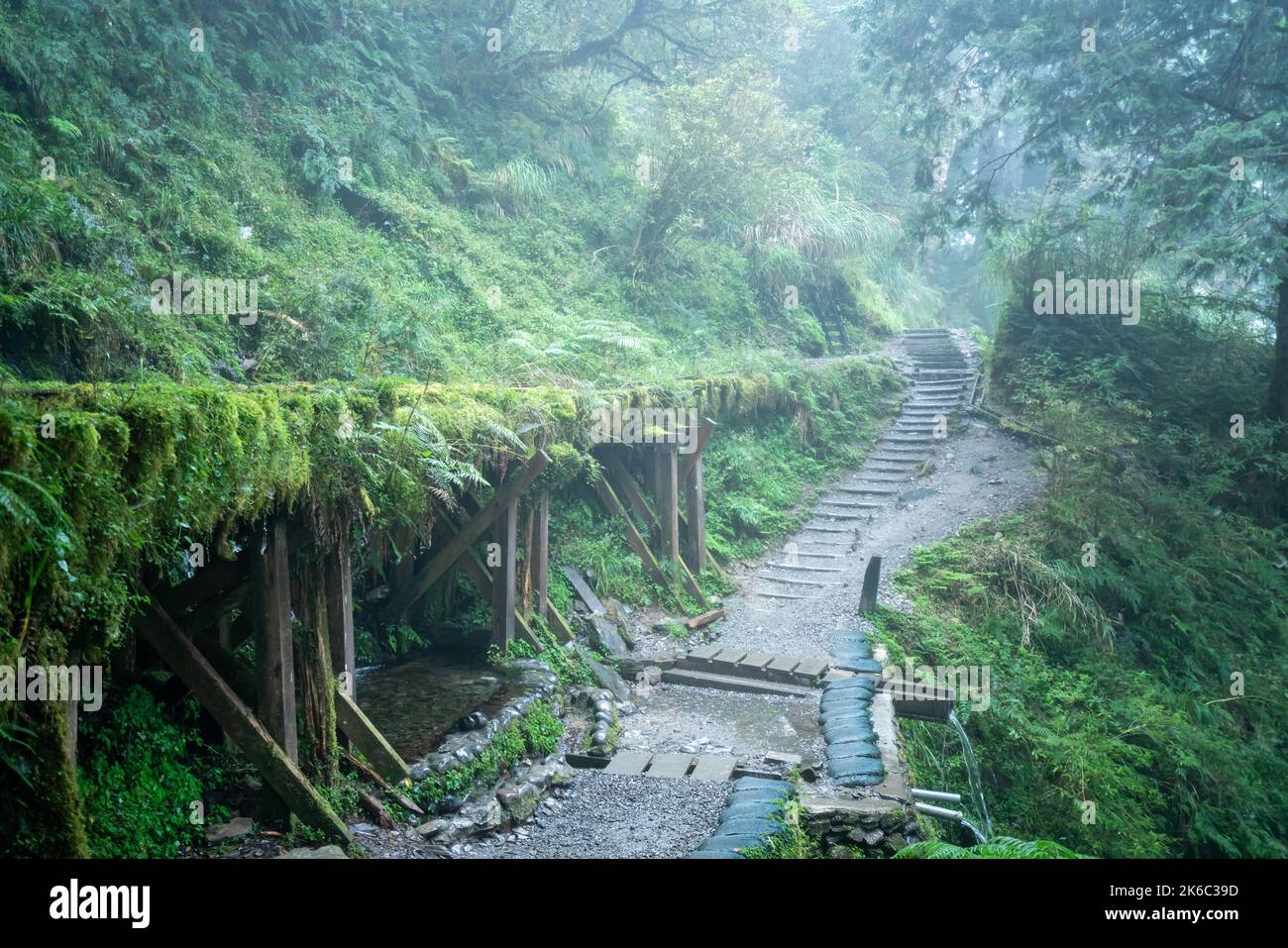 Magnifique sentier historique de Jianqing (Jiancing), chemin de fer forestier de l'aire de loisirs de la forêt nationale de Taipingshan de Taiwan. Banque D'Images