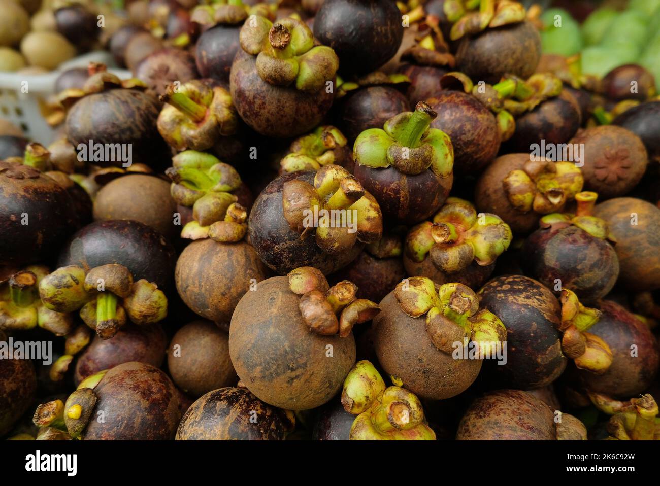 Mangosteen - gros plan du fruit mangosteen. Mangoustène en grandes quantités dans le panier Banque D'Images