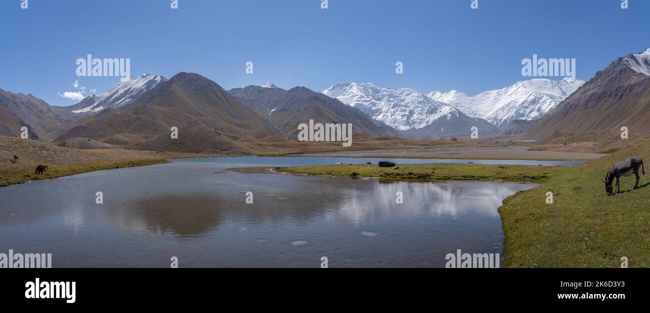 Paysage de haute altitude panorama de la neige a plafonné le pic Lénine près d'Achik Tash basecamp avec lac et réflexion, chaîne de montagnes Trans Alay, Kirghizistan Banque D'Images