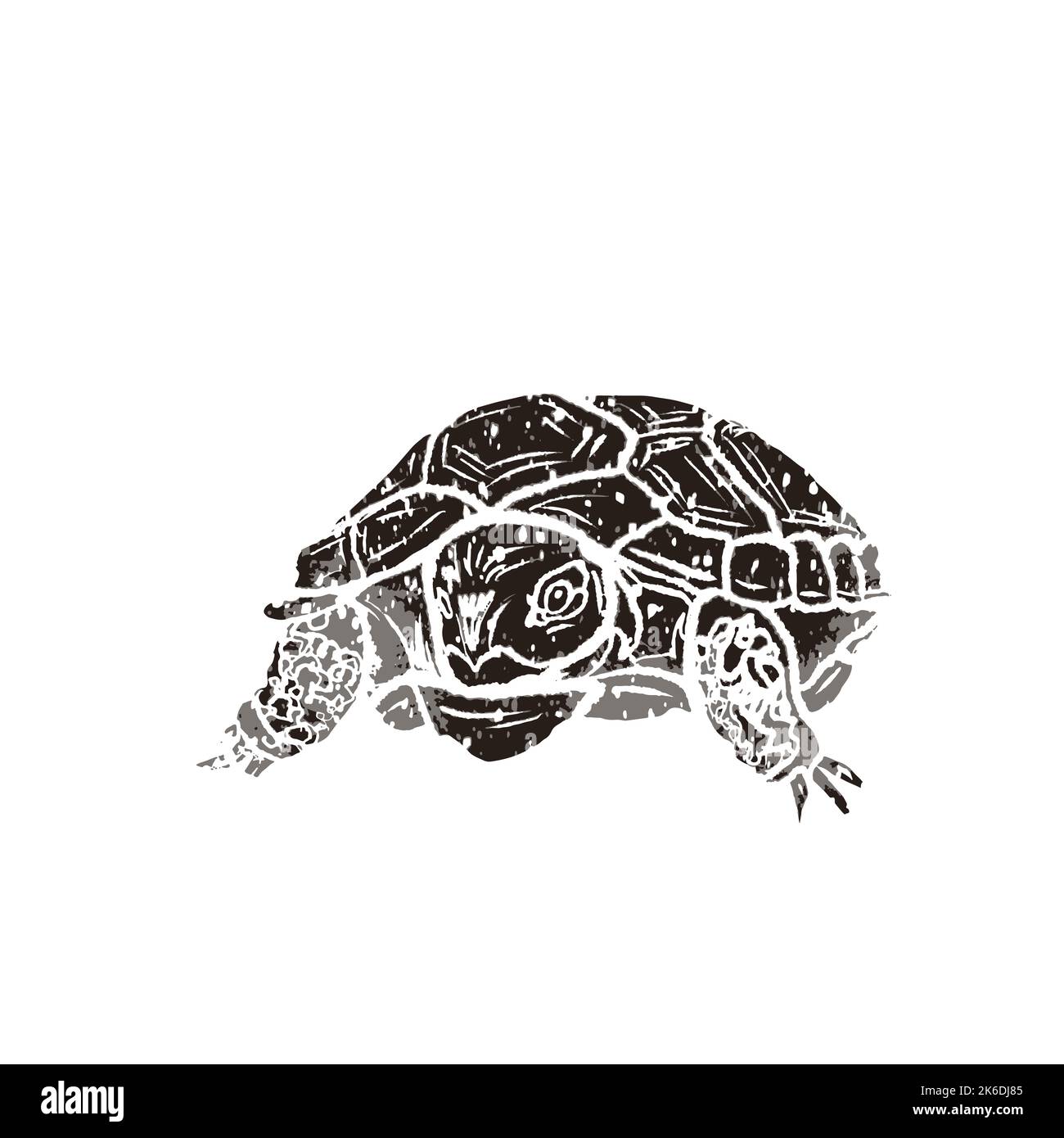 Grosse tortue en style rétro linocut isolée sur blanc Illustration de Vecteur