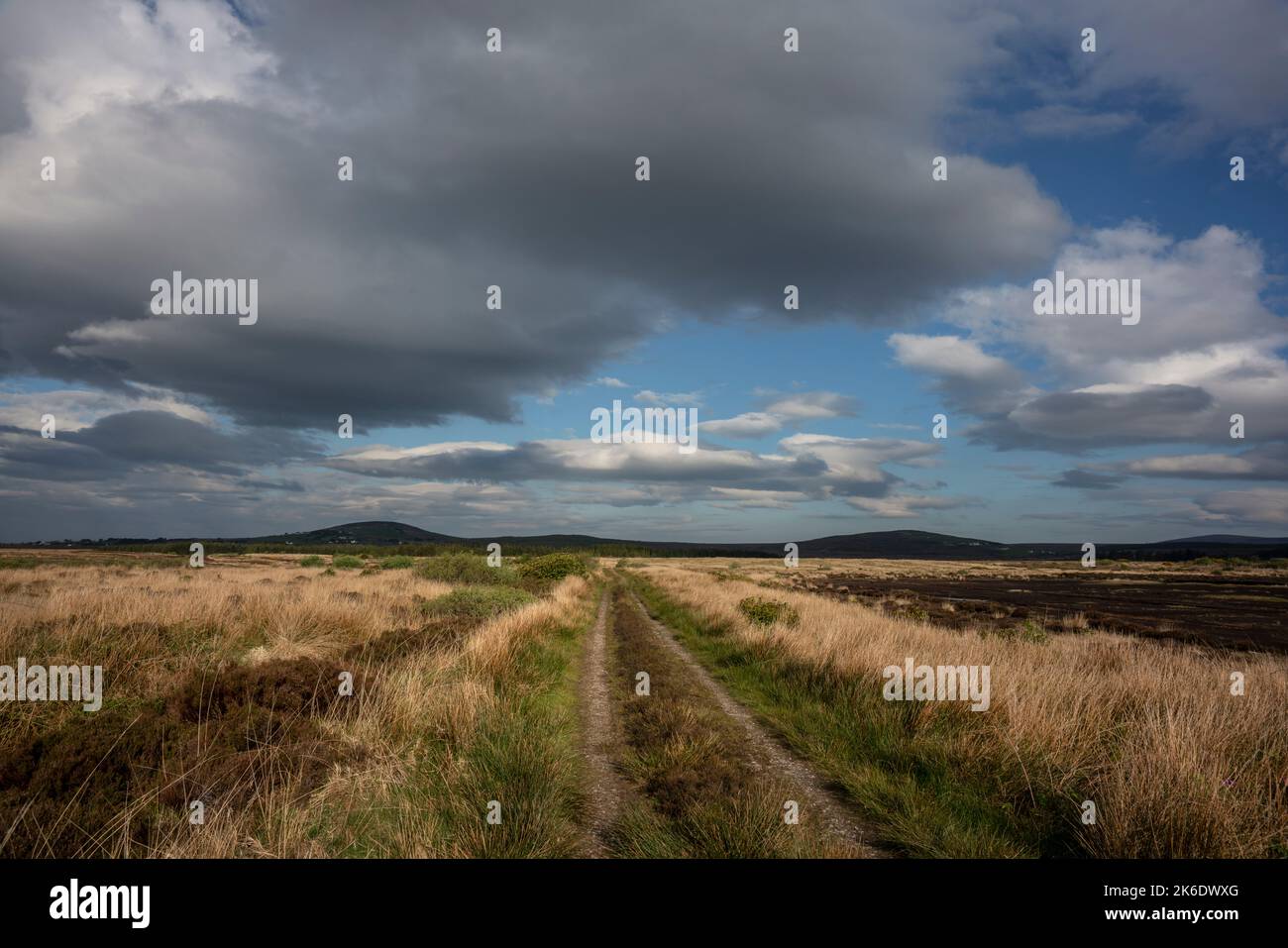 Le vaste pays de Bangor Eris Bog, comté de Mayo, Irlande. Des nuages sombres s'accumulent, la pluie arrive. Banque D'Images