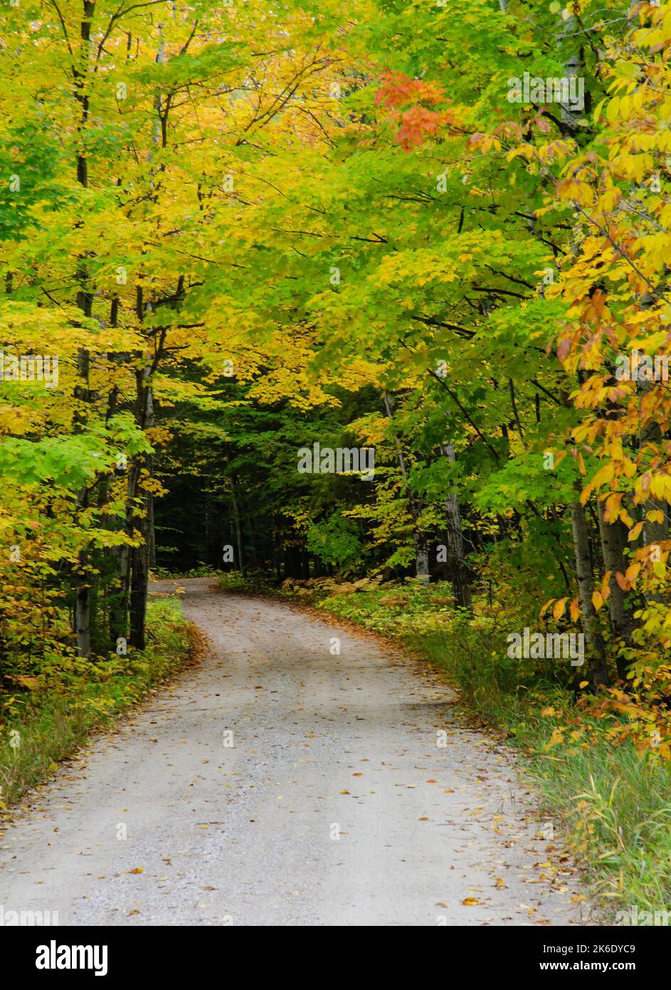 Une route de couleur automnale sort de la forêt, Door County, Wisconsin Banque D'Images