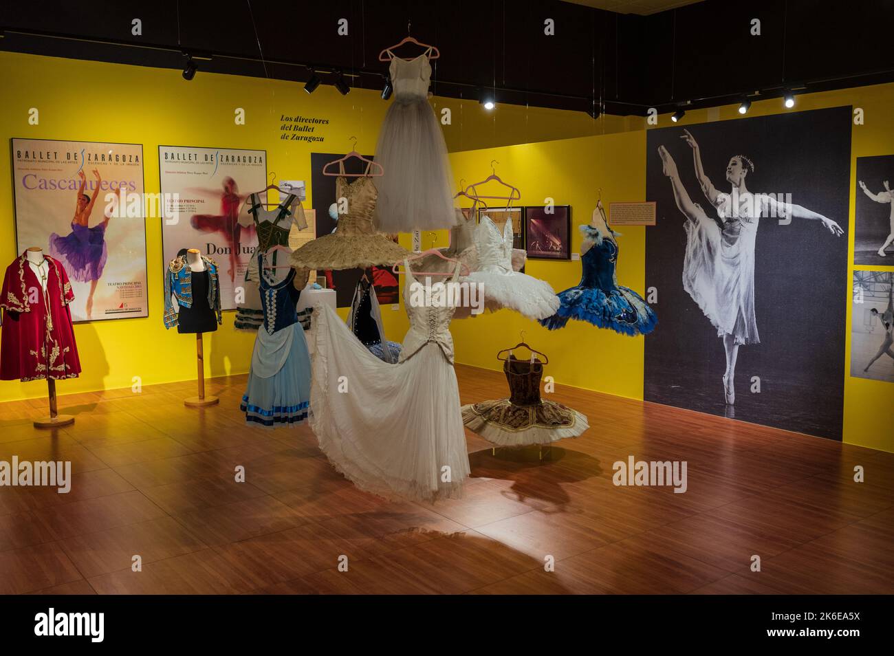 Exposition « swans » sur le ballet classique au Centro de Historias, Saragosse, Espagne Banque D'Images