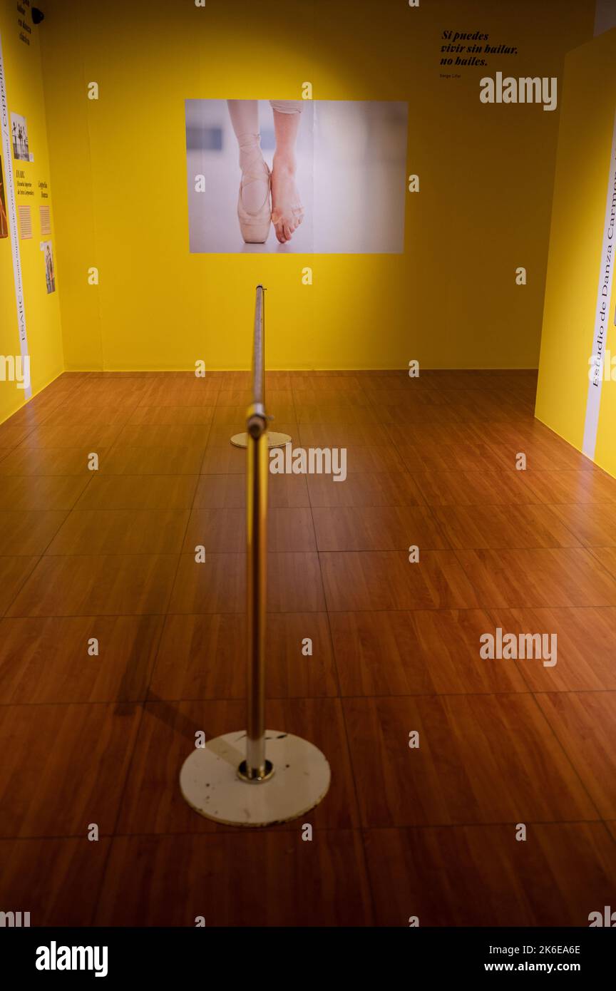 Exposition « swans » sur le ballet classique au Centro de Historias, Saragosse, Espagne Banque D'Images