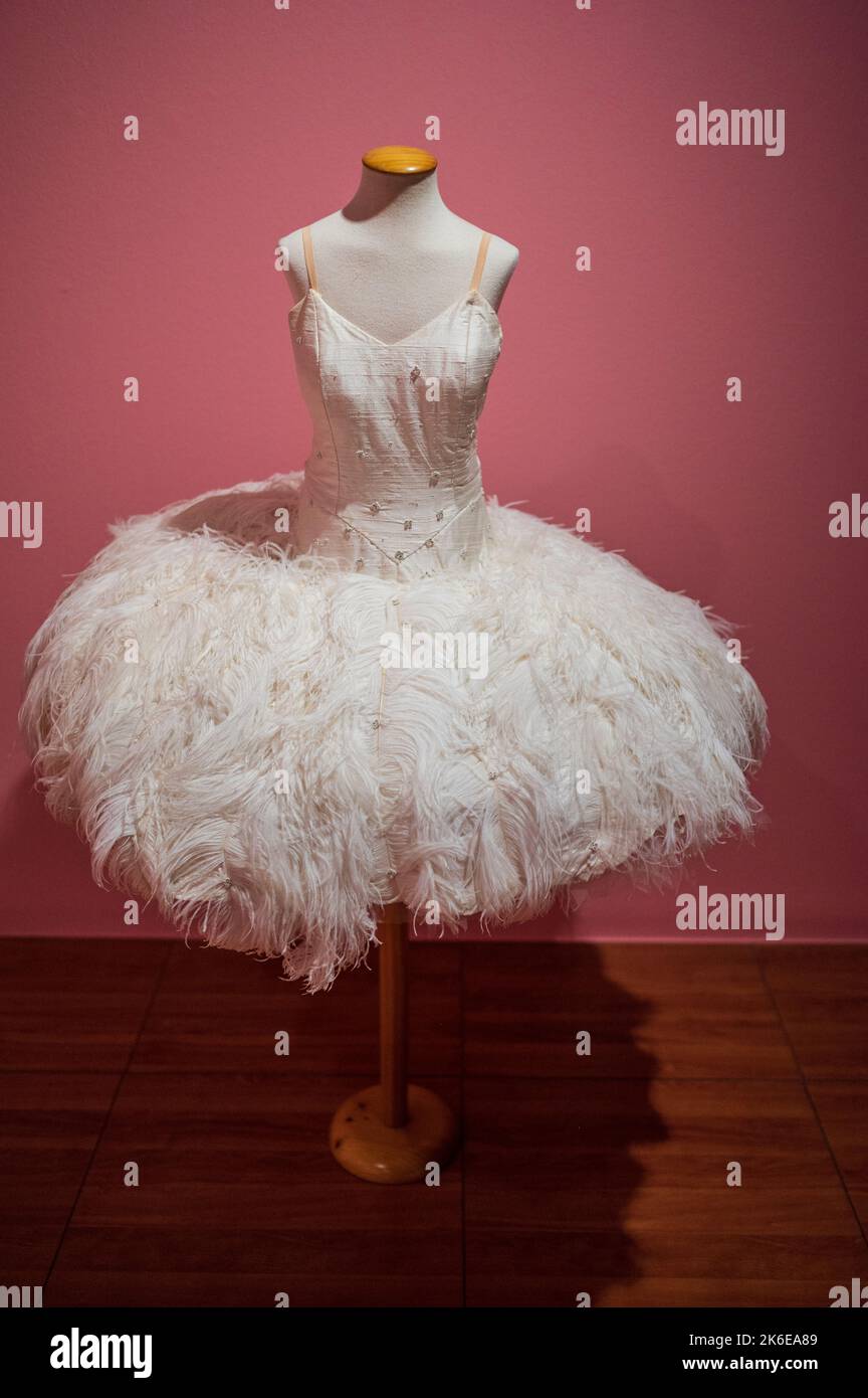 Exposition « swans » sur le ballet classique au Centro de Historias, Saragosse, Espagne Banque D'Images