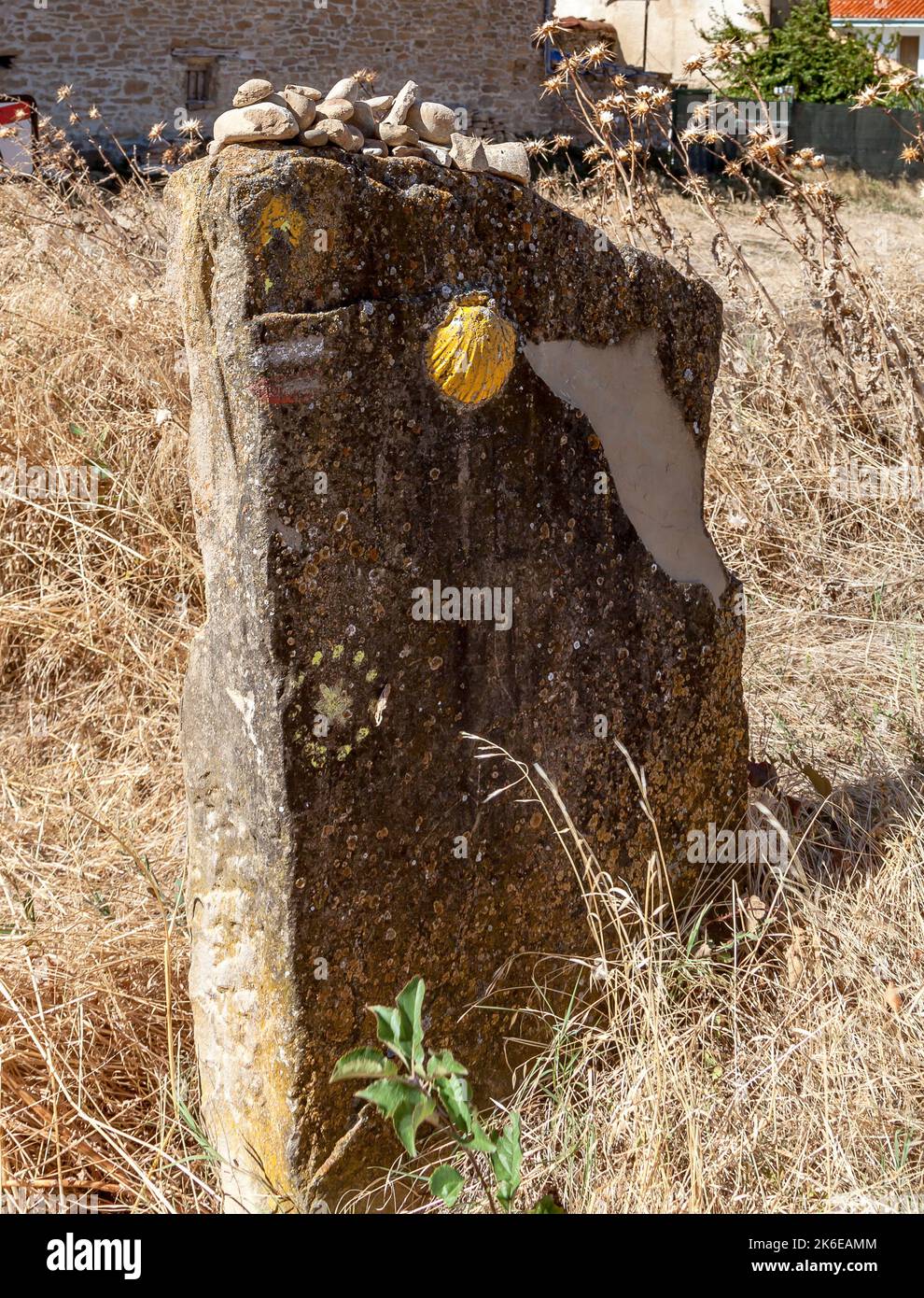 Marqueur Camino avec une coquille jaune, Camino à Saint-Jacques-de-Compostelle, Camino Frances Banque D'Images