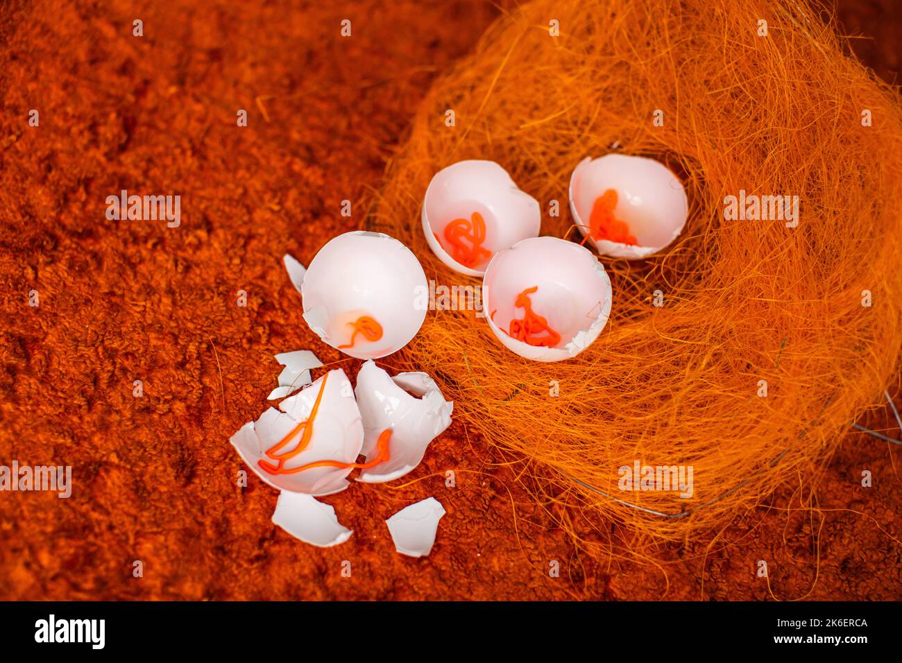 œufs sur fond orange. Banque D'Images