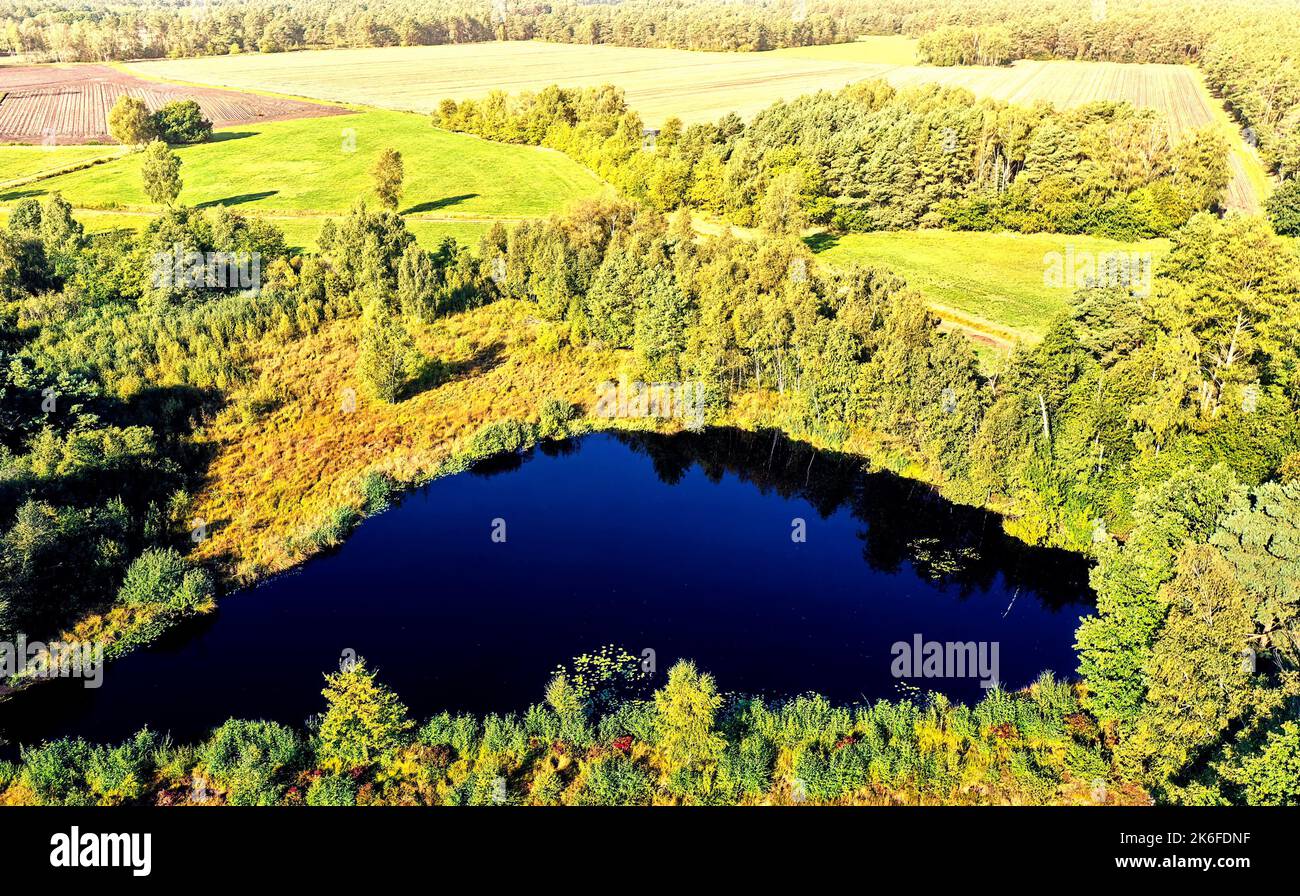 Étang bleu profond dans une lande verte en face des champs et des prairies, vue aérienne Banque D'Images