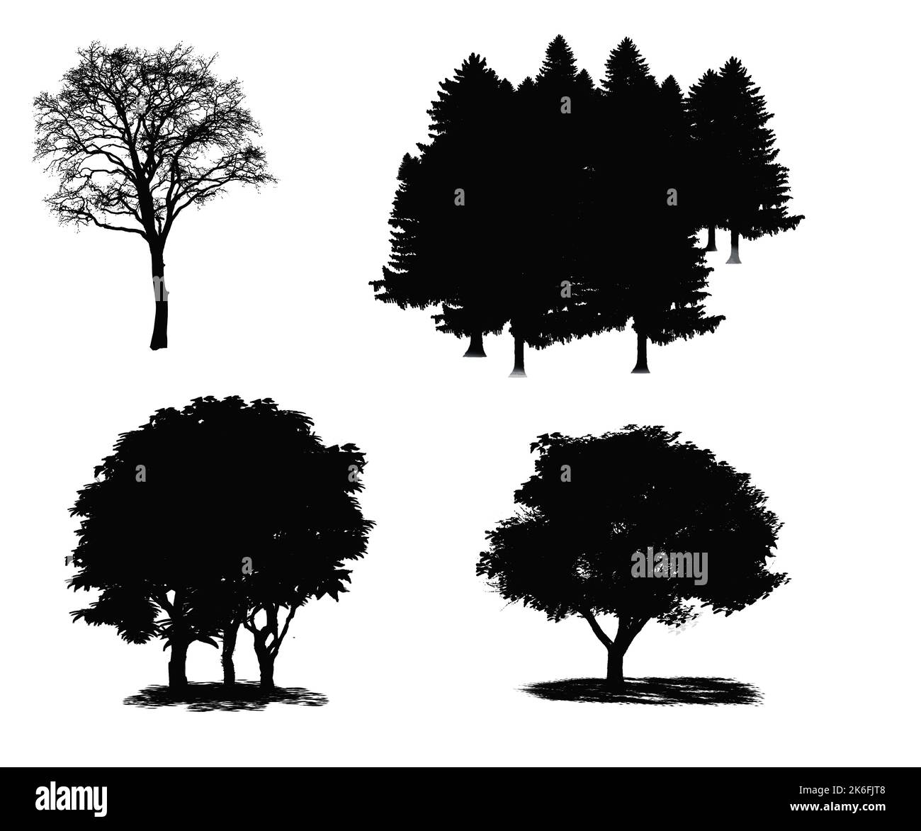 Ensemble décoratif avec arbres et forme d'arbre. Tracé de contour avec arbre et forêt. Banque D'Images