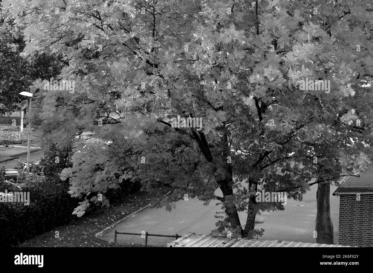Kastrup/Copenahgen /Danemark/14 octobre 2022/feuille de chevalet jaune et récipient de repos bleu fr travailleurs de Kastrup. (Photo. Francis Joseph Dean/Dean Pictures. Banque D'Images