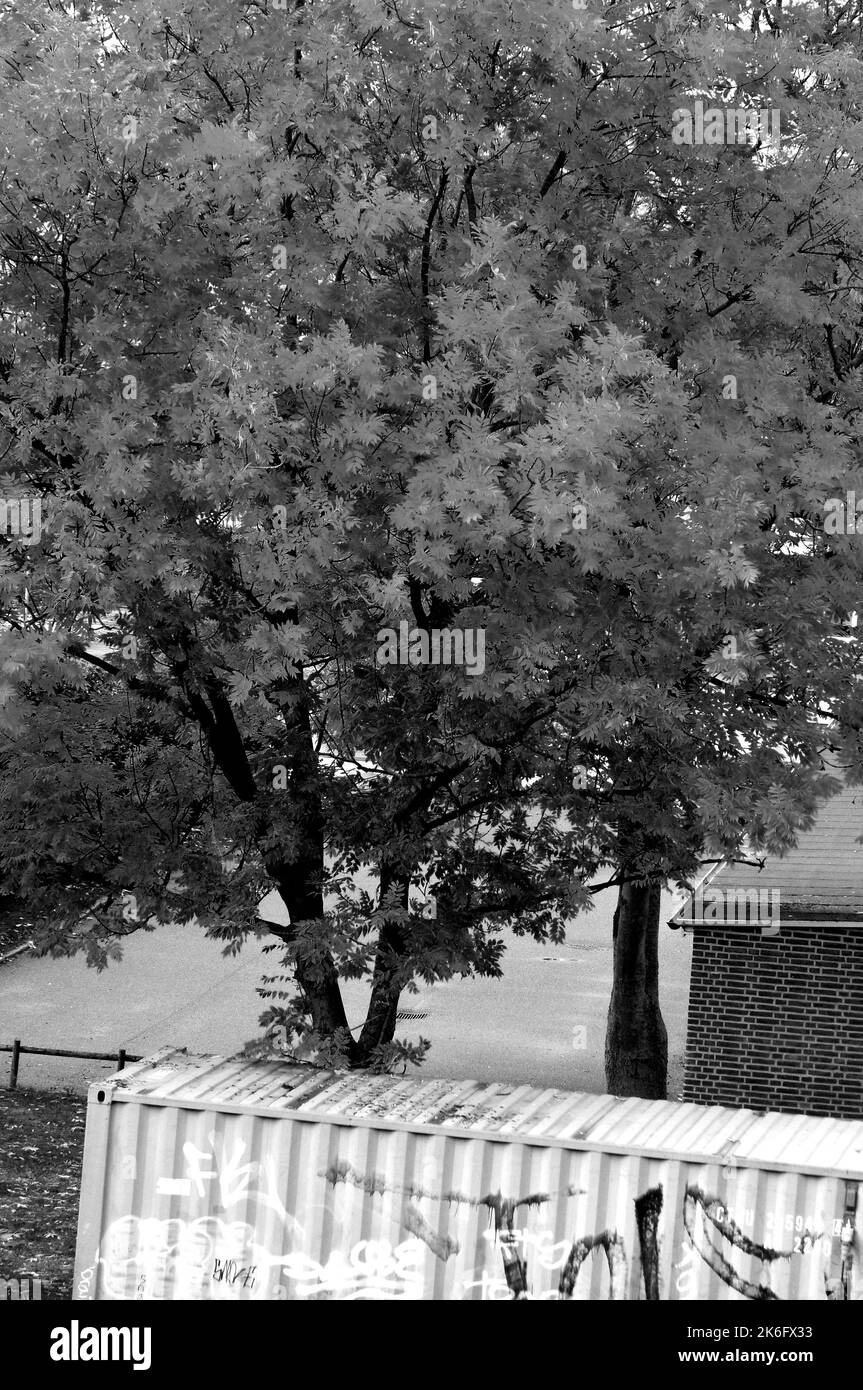 Kastrup/Copenahgen /Danemark/14 octobre 2022/feuille de chevalet jaune et récipient de repos bleu fr travailleurs de Kastrup. (Photo. Francis Joseph Dean/Dean Pictures. Banque D'Images