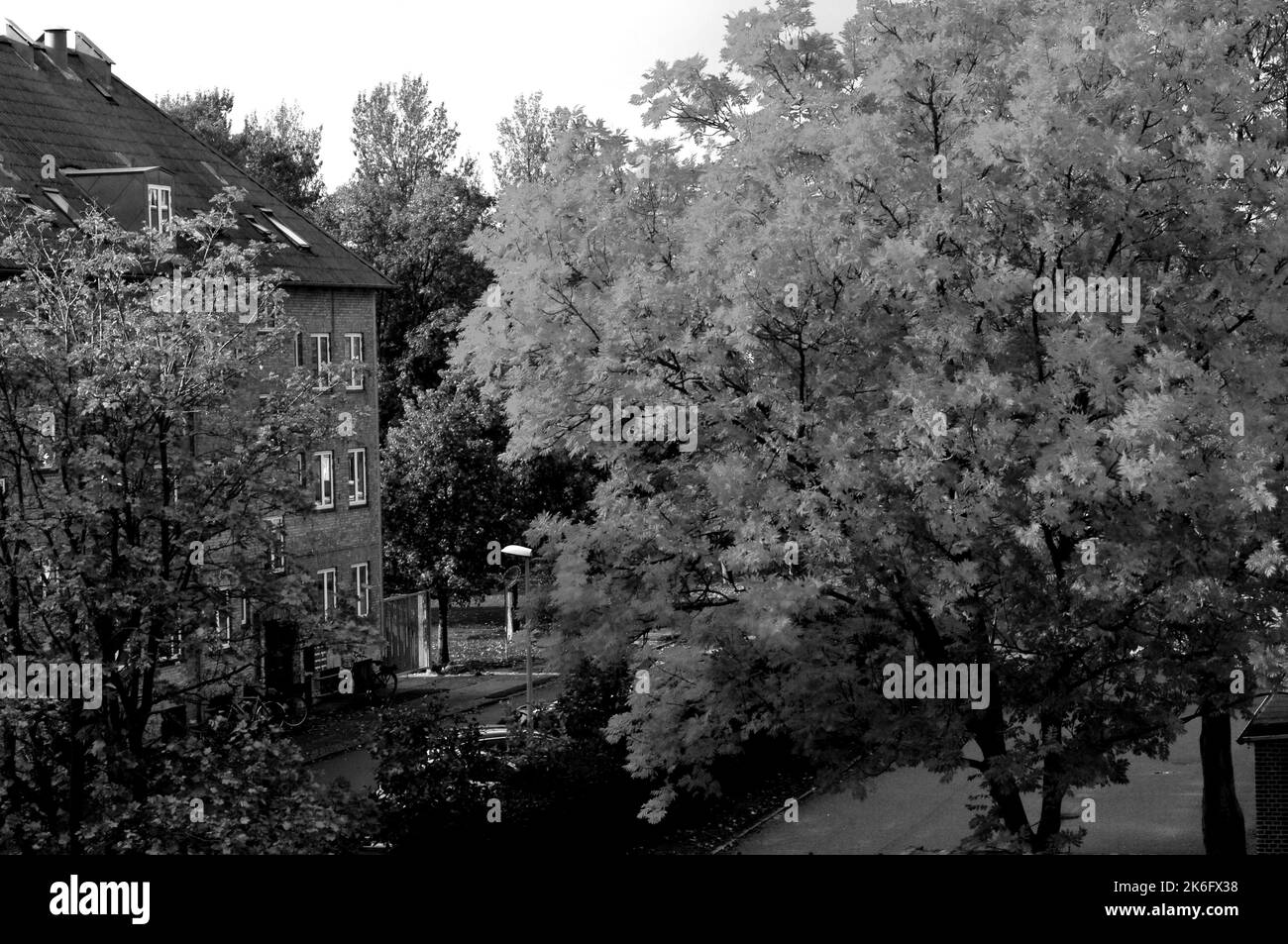 Kastrup/Copenahgen /Danemark/14 octobre 2022/feuille de chevalet jaune et récipient de repos bleu fr travailleurs de Kastrup. (Photo. Francis Joseph Dean/Dean Pictures. Banque D'Images