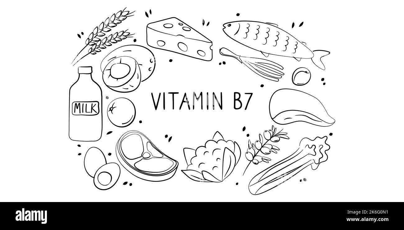 Vitamine B7 Biotine. Groupes de produits sains contenant des vitamines. Ensemble de fruits, légumes, viandes, poissons et produits laitiers Illustration de Vecteur