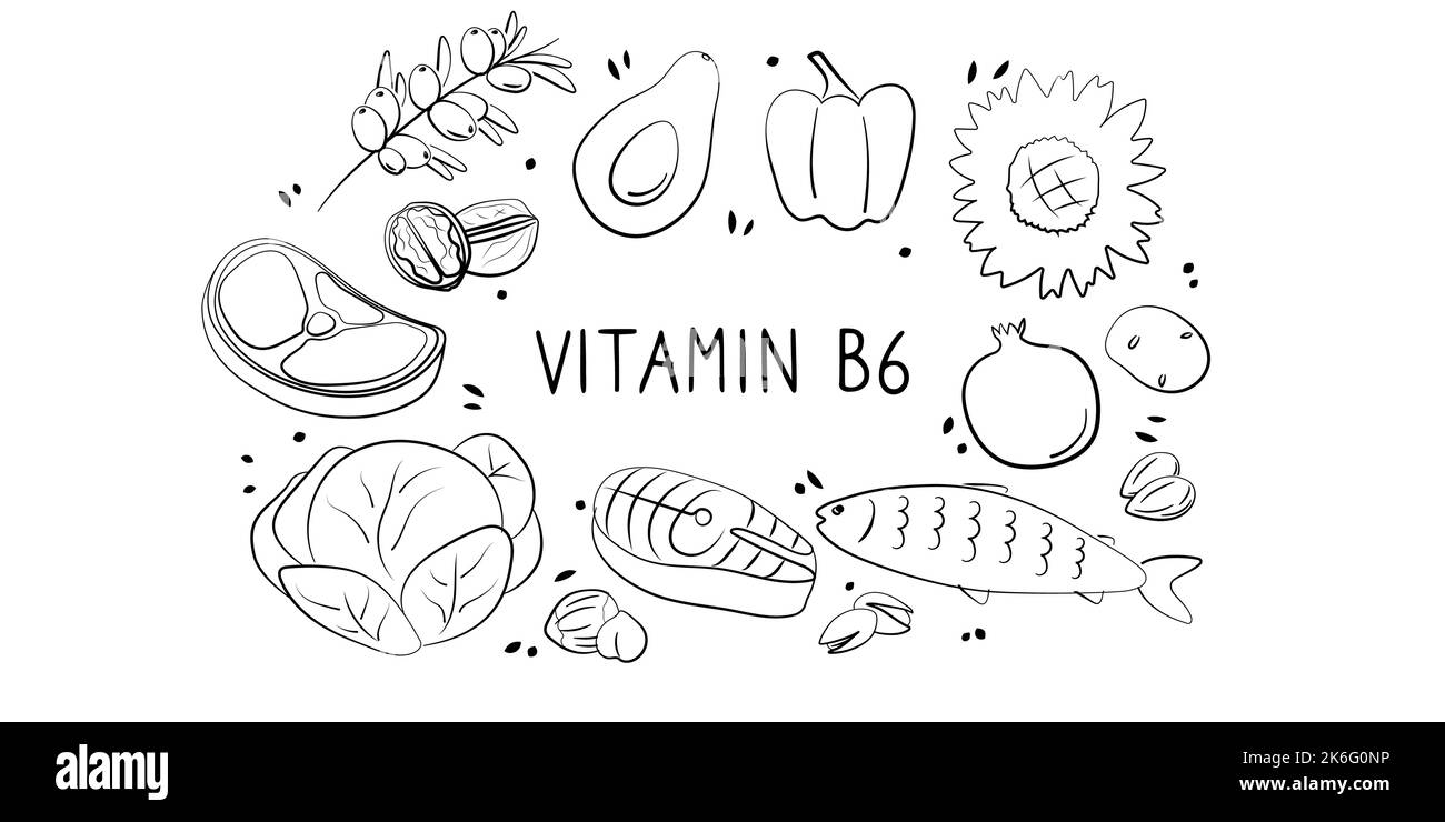 Vitamine B6 pyridoxine. Groupes de produits sains contenant des vitamines. Ensemble de fruits, légumes, viandes, poissons et produits laitiers Illustration de Vecteur